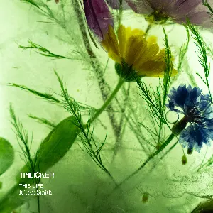 Pochette de This Life de Tinlicker