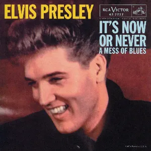 Pochette It’s Now or Never / A Mess of Blues