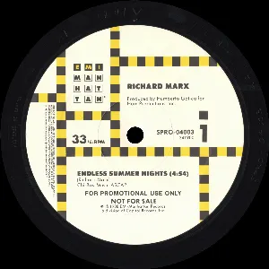 Pochette de Endless Summer Nights de Richard Marx