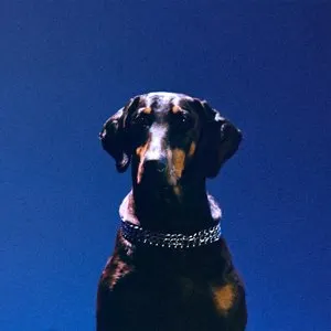 Pochette de Gem Lingo (ovr now) de Overmono