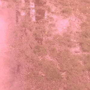 Pochette de Shadowless Goons de Kevin Drumm