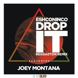 Pochette Drop It (reggaeton remix)