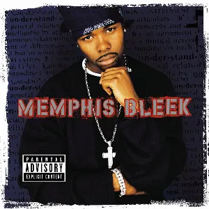 Pochette de The Understanding de Memphis Bleek