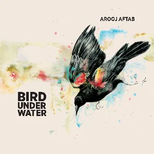 Pochette de Bird Under Water de Arooj Aftab