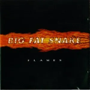 Pochette de Flames de Big Fat Snake