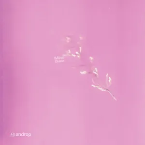 Pochette de Mirai Bana de androp