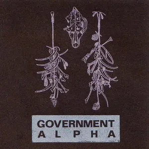 Pochette de Erratic de Government Alpha