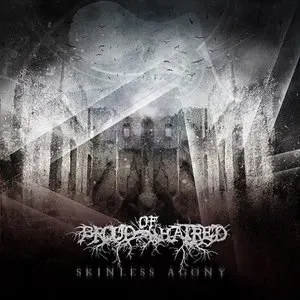 Pochette de Skinless Agony de Brood of Hatred