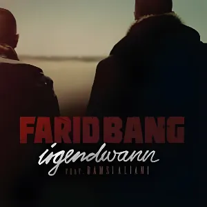 Pochette de Irgendwann de Farid Bang