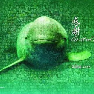Pochette de 感谢 de Jane Zhang