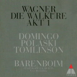 Pochette de Die Walküre • Akt 1 de Staatskapelle Berlin - Plácido Domingo - John Tomlinson - Richard Wagner - Daniel Barenboim