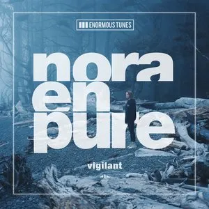 Pochette de Vigilant de Nora en Pure