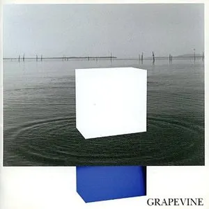 Pochette de イデアの水槽 de GRAPEVINE
