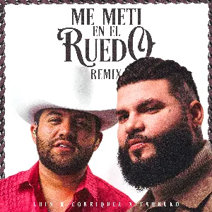 Pochette de Me metí en el ruedo (remix) de Farruko