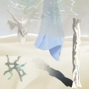 Pochette de Broder de El Perro del Mar