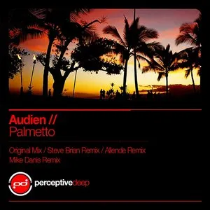 Pochette de Palmetto de Audien