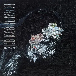 Pochette de New Bermuda de Deafheaven