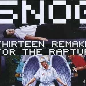 Pochette de Thirteen Remakes for the Rapture de Snog