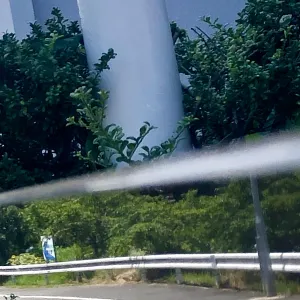 Pochette de Sekirei no Youni [Promote Song] de Ueda Takayasu