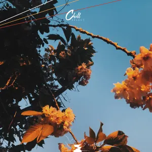 Pochette de How About This de JazzyHan