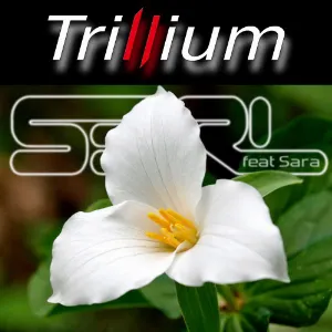 Pochette de Trillium de S3RL
