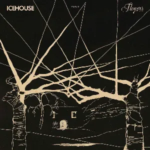 Pochette Icehouse Plays Flowers