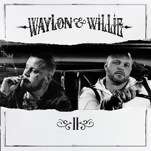 Pochette Waylon & Willie II