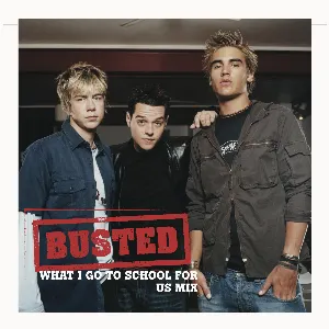 Pochette de What I Go to School For de Busted