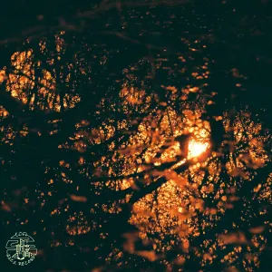 Pochette de Sparkle de Sátyr