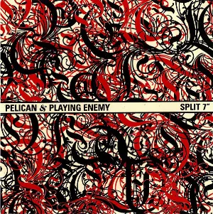 Pochette Pelican / Playing Enemy