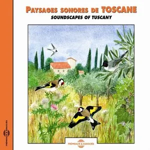 Pochette de Paysages sonores de Toscane / Soundscapes of Tuscany de Bernard Fort