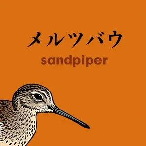 Pochette Sandpiper