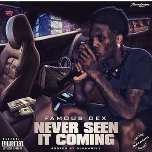 Pochette de Never Seen It Coming de Famous Dex
