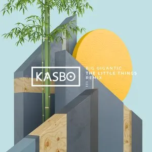 Pochette de The Little Things (Kasbo remix) de Big Gigantic