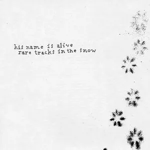 Pochette de Rare Tracks in the Snow de His Name Is Alive