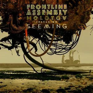 Pochette de Molotov (remix) de Front Line Assembly