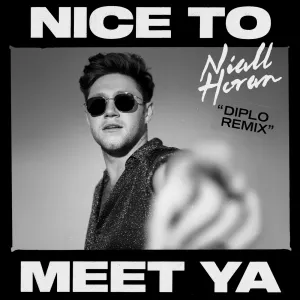 Pochette de Nice to Meet Ya (Diplo remix) de Niall Horan