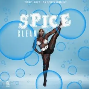Pochette de Clean de Spice