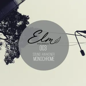 Pochette de Monochrome de Sound Awakener