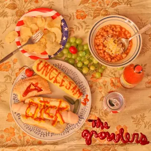 Pochette de Uncle Sam's A DICK / Drinking Song For Kids de The Growlers