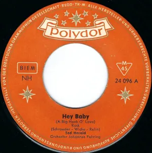 Pochette de Hey Baby de Ted Herold
