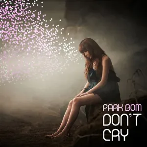 Pochette de Don’t Cry de Park Bom
