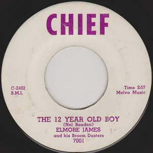Pochette The 12 Year Old Boy / Coming Home
