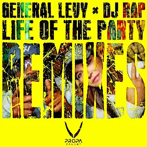 Pochette de Life Of The Party Remixes de General Levy