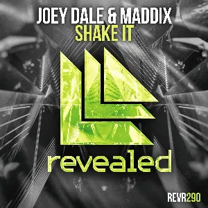 Pochette de Shake It de Maddix