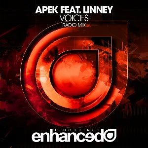 Pochette de Voices de Linney
