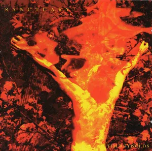 Pochette de Sanctuary de Tim Reynolds