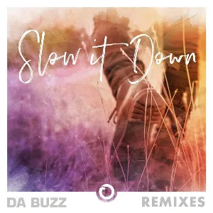 Pochette de Slow It Down de Da Buzz