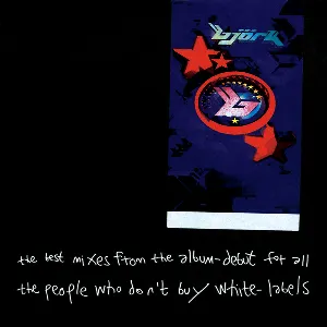 Pochette The Best Mixes From the Album – Debut for All the People Who Don’t Buy White‐Labels