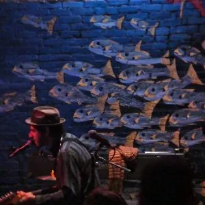 Pochette de 2009-02-28: Swimming With the Fishes: Flamingo Cantina, Austin, TX, USA de Vic Ruggiero